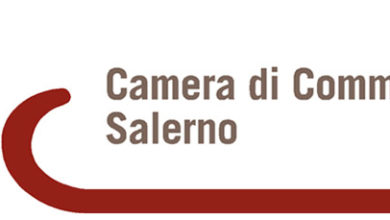 camera di commercio sa logo