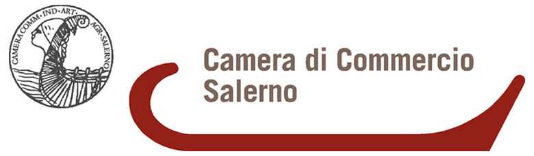 camera di commercio sa logo