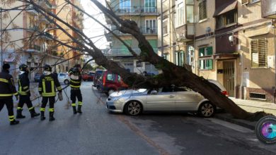 Fotoreporter G.Gambardella per Sevensalerno - copyright2019.sevensalerno tutti i diritti riservati