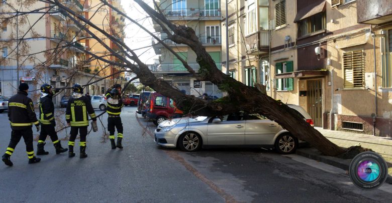 Fotoreporter G.Gambardella per Sevensalerno - copyright2019.sevensalerno tutti i diritti riservati