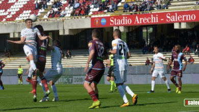 Salernitana-Venezia: 1-1