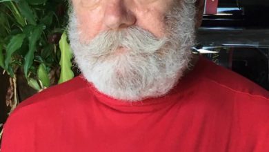 Gianpiero Meo, Greenpeace Italia