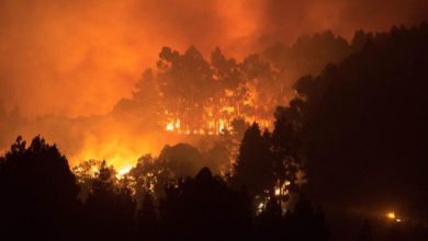 Canarie Incendio -ph.agenzia adnkronos