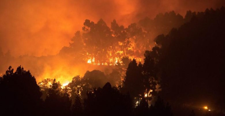 Canarie Incendio -ph.agenzia adnkronos