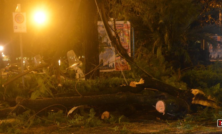 Tempesta di santa Lucia -Salerno -Fotoreporter G.Gambardella per Sevensalerno-Tutti i diritti riservati