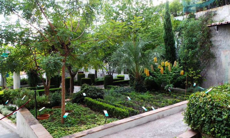 Giardini della Minerva, Salerno