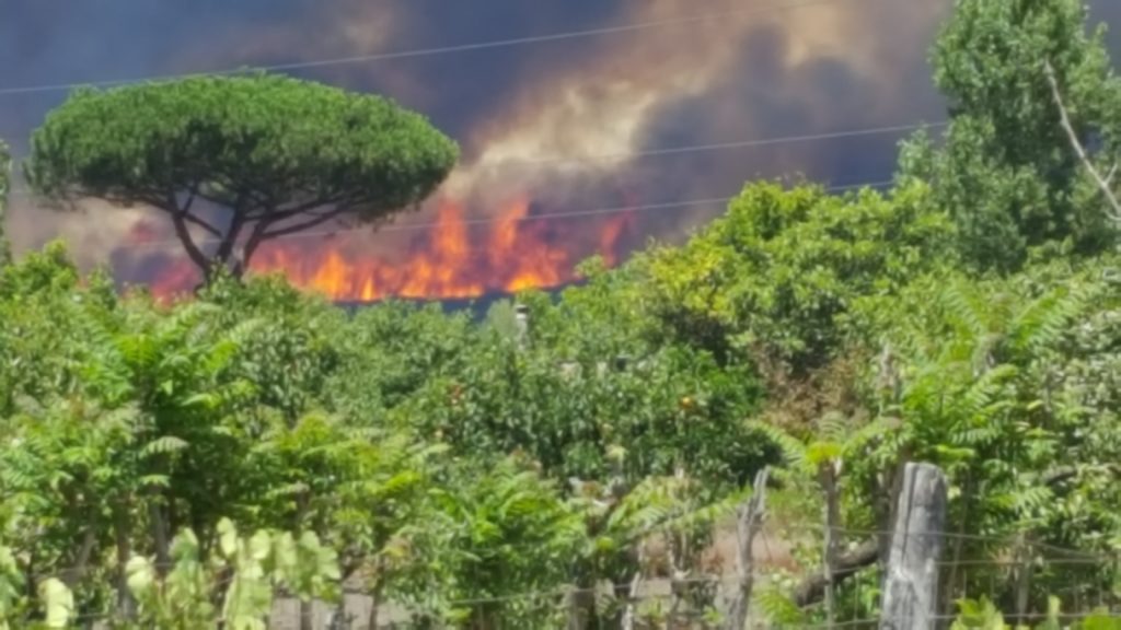 Vesuvio 20170711