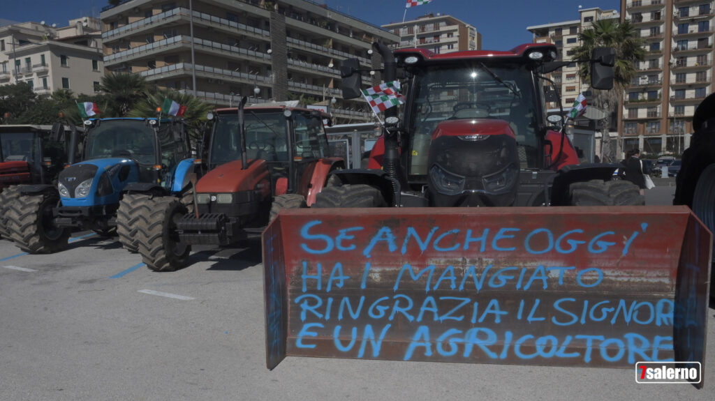 Fotoreporter Guglielmo Gambardella per Sevensalernocopyright2024.Sevensalerno.TuttiiDirittiRiservati